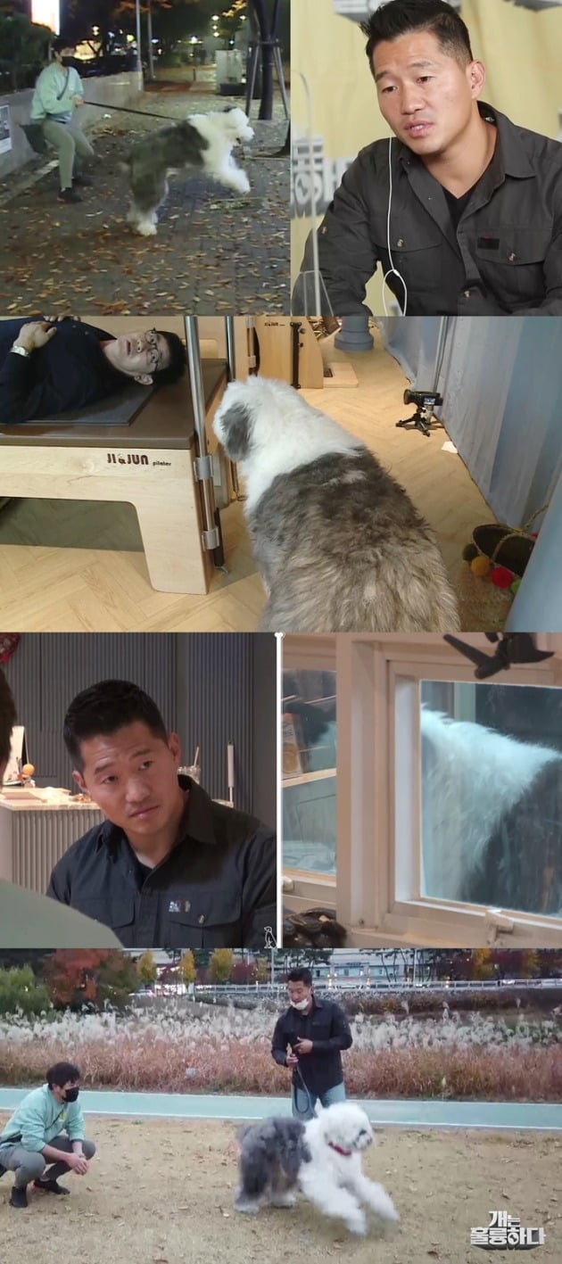 '개는 훌륭하다' 스틸컷./사진제공=KBS2