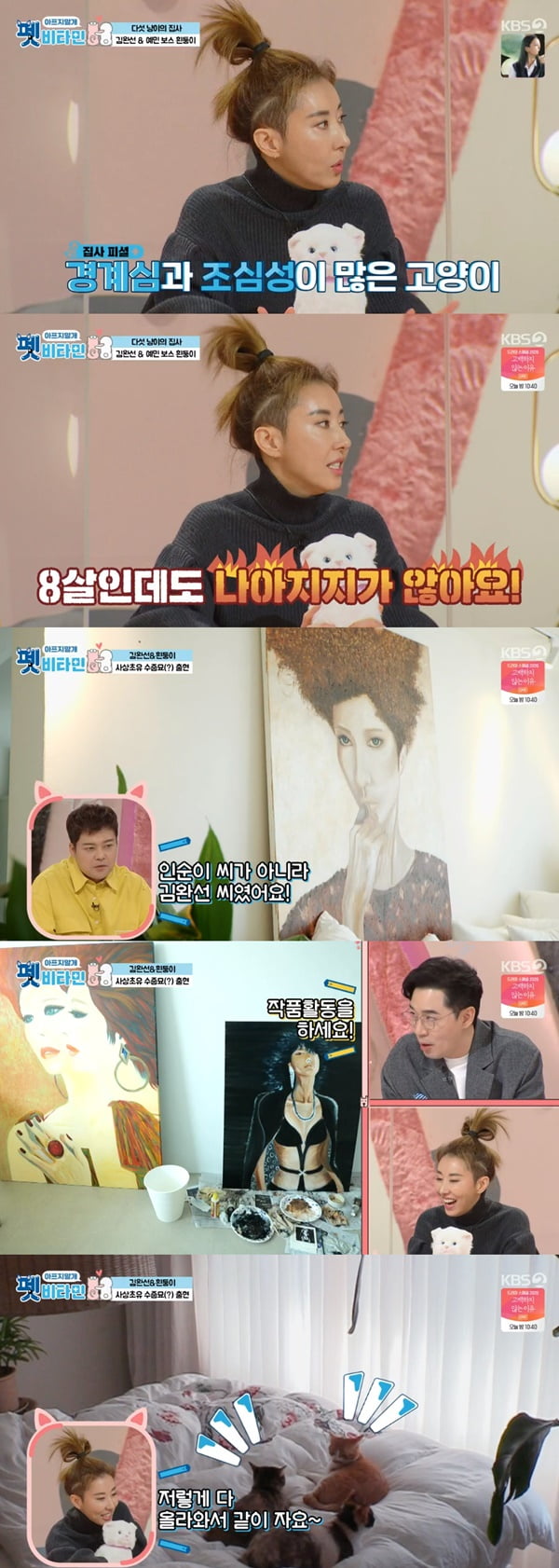 '펫 비타민' / 사진 = KBS 영상 캡처
