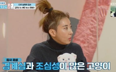 '펫 비타민' 김완선, 5마리 고양이 집사 출연…집 공개
