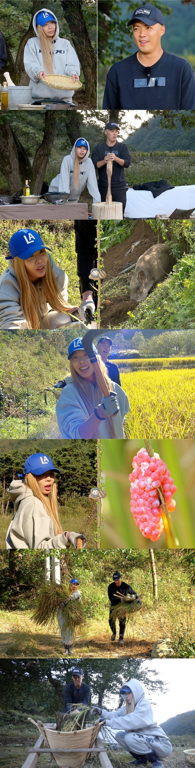 '정글의 법칙' / 사진 = SBS 제공