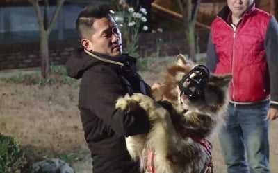 '개훌륭' 강형욱, 맬러뮤트에 피습…긴장감 흐르는 대치 상황