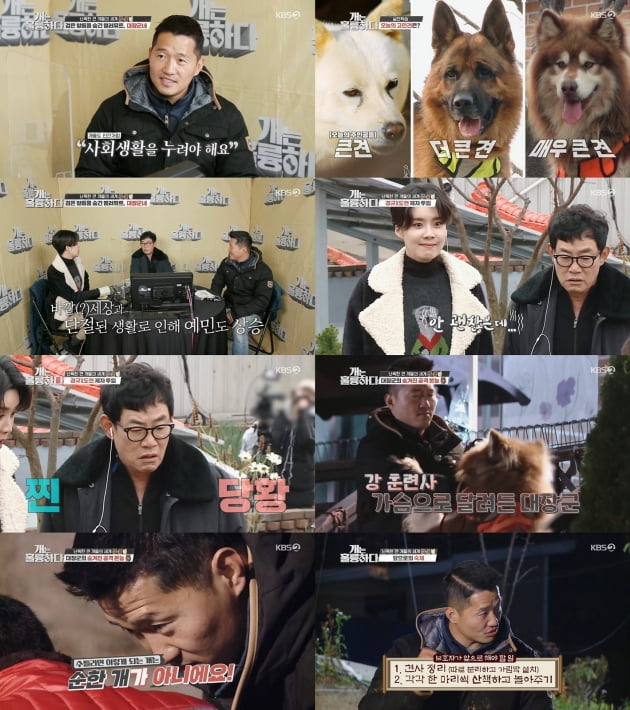 7일 방송된 '개는 훌륭하다'/ 사진=KBS2 제공