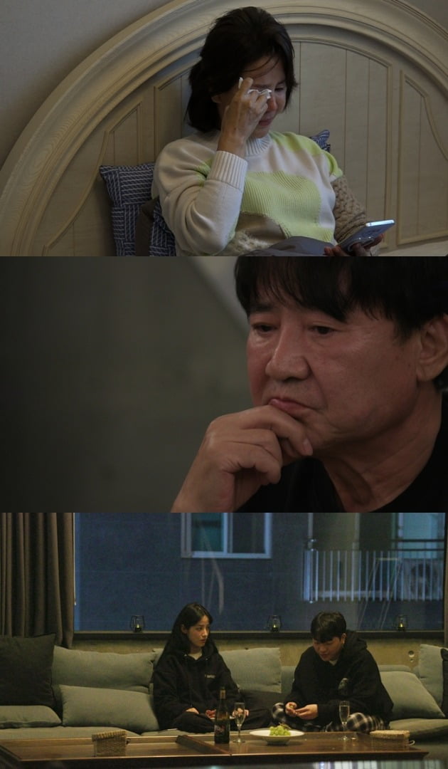 '우리 이혼했어요'에 출연한 선우은숙(위부터), 이영하와 유튜버 유깻잎·최고기 / 사진제공=TV조선