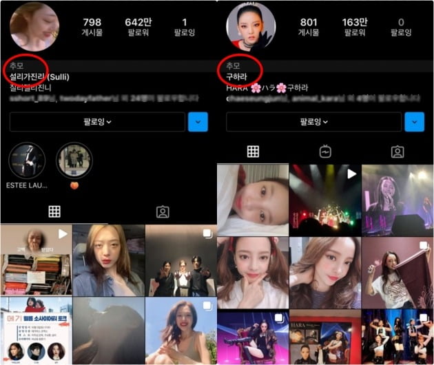 사진 = 故 구하라, 故 설리 인스타그램
