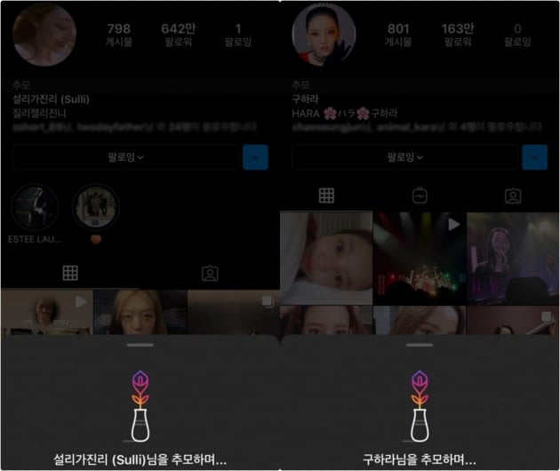 사진 = 故 구하라, 故 설리 인스타그램