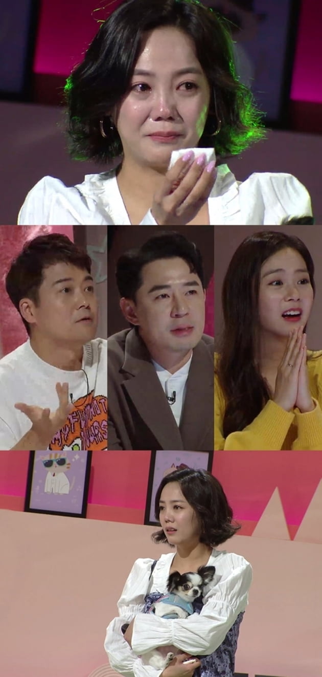 '펫 비타민' / 사진 = KBS 제공