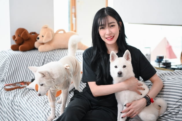 '어쩌다 마주친 그 개' 스틸 / 사진제공=SBS
