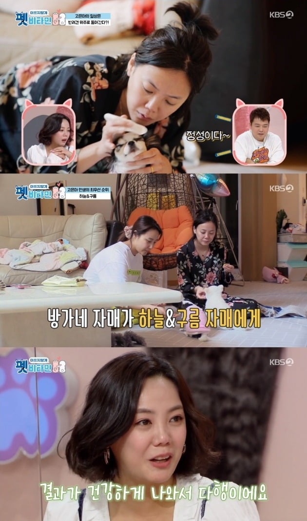 사진 제공 : KBS 2TV '펫 비타민' 방송 화면 캡처