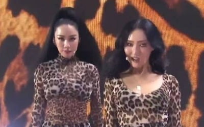 엄정화, 나이는 거꾸로…야성美 폭발한 '호피무늬' (feat. 화사)