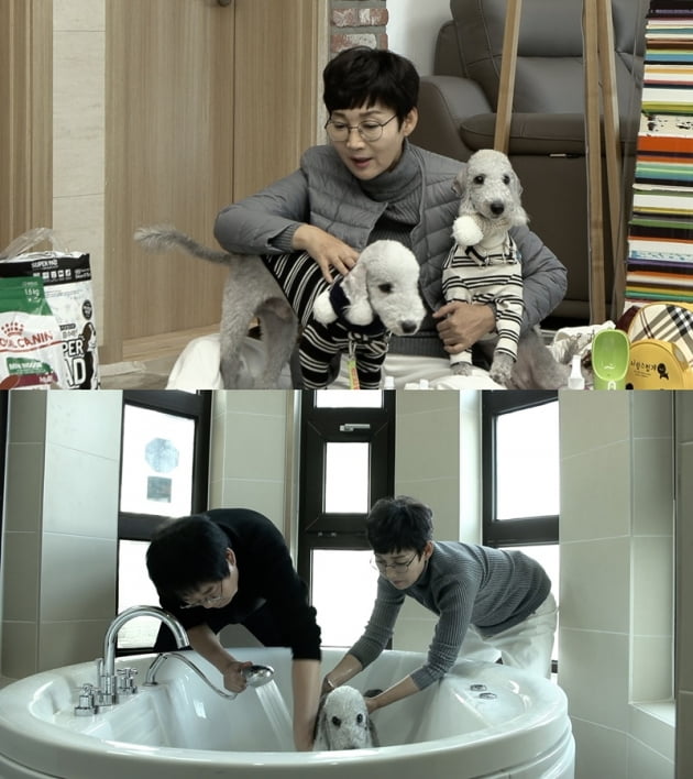 '1호가 될 순 없어' / 사진 = JTBC 제공
