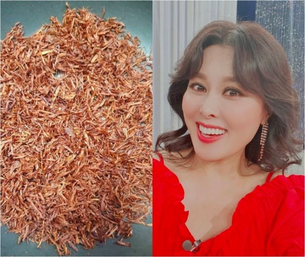홍지민 인스타그램