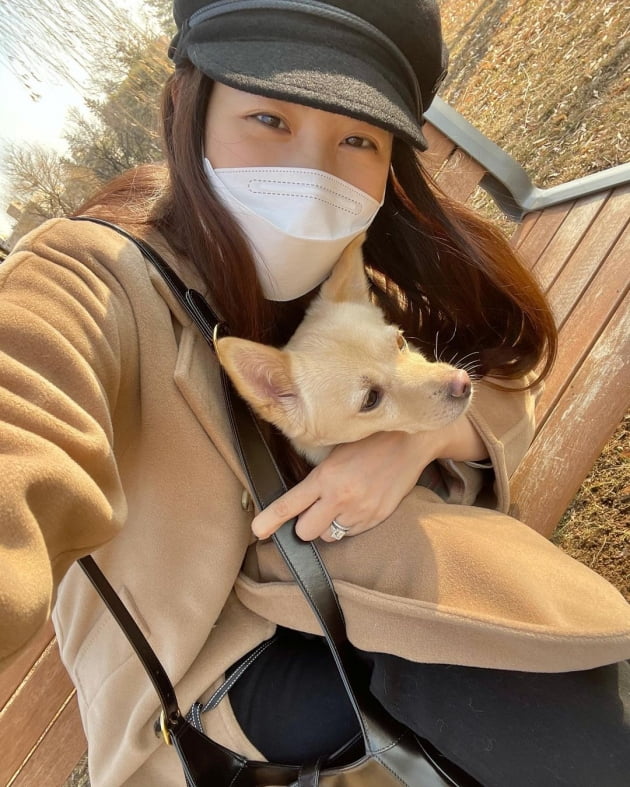 수현, 따뜻한 햇살 아래 반려견과 산책 "평화로운 오후"