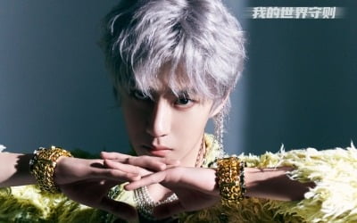 왕이보, '나의 세계 수칙' 中 음원 차트 1위…'중화권 대세' 입증