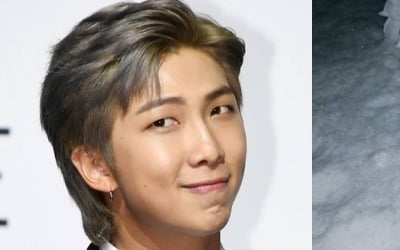 방탄소년단 RM, 작명센스 무엇! 오리 눈집게 사용의 옳은 예