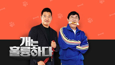 /사진=KBS 2TV '개는 훌륭하다'