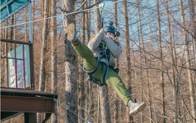 박세리, 집라인 도전 "나 아직 결혼도 안 했어" 웃픈 절규