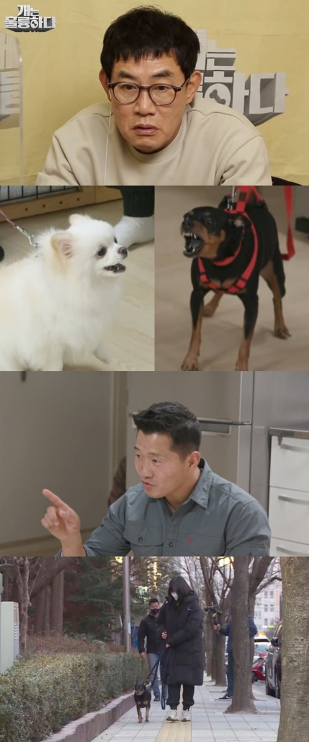 '개는 훌륭하다' / 사진 = KBS 제공