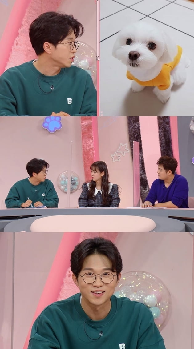 '펫 비타민' / 사진 = KBS 제공