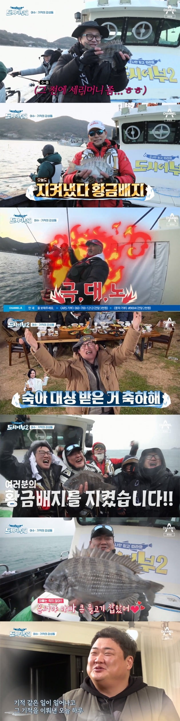 사진=채널A '도시어부2' 방송 화면.