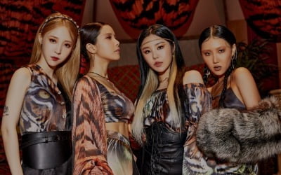 마마무 측 "솔라·문별 재계약, 화사·휘인 긍정 논의 중…좋은 결과 기대" [공식]