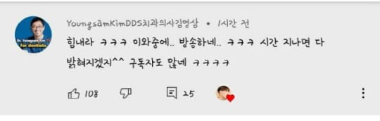 /사진=김기수 채널의 김영삼 댓글 캡처