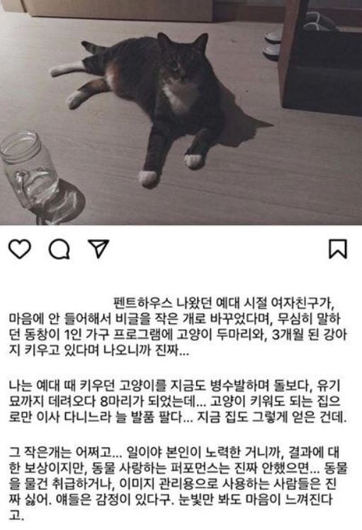 /사진=온라인 커뮤니티