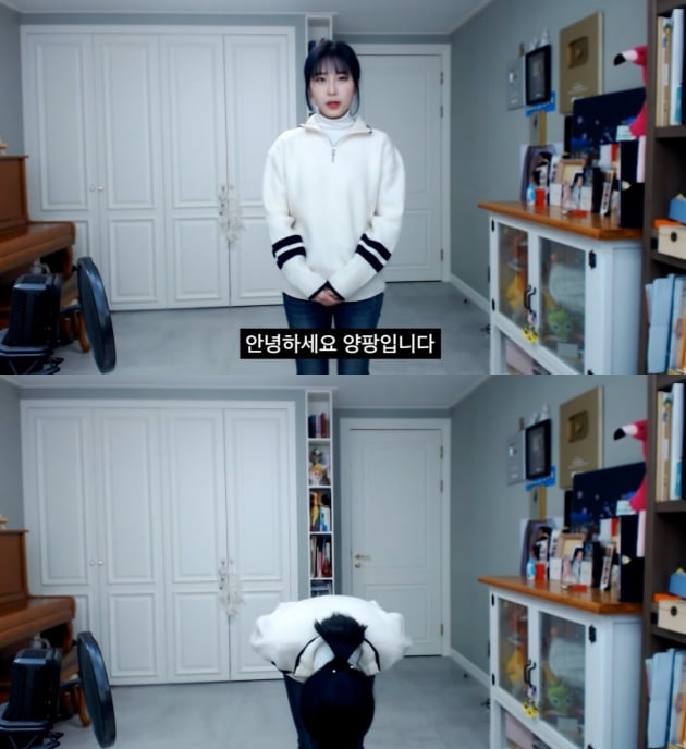 /사진=양팡 유튜브 채널