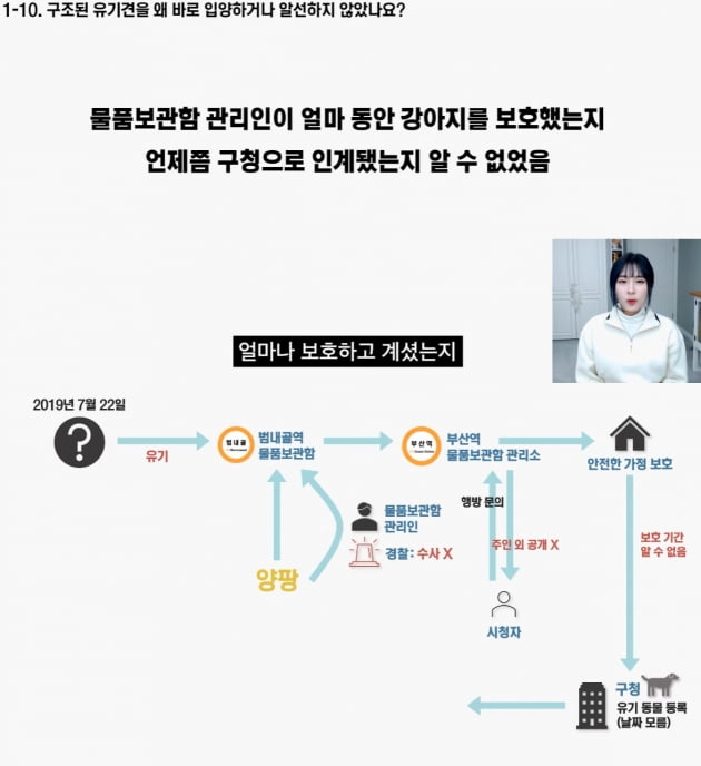 /사진=양팡 유튜브 채널