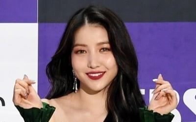 여자친구 소원, 나치 연상 마네킹 인증샷 해명