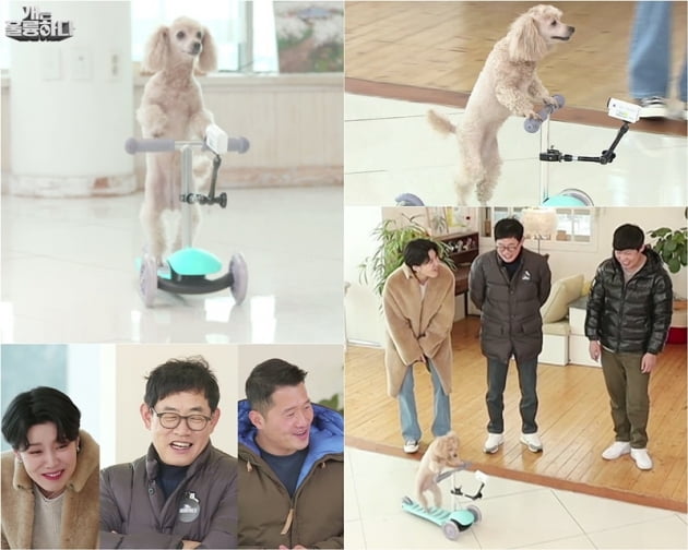 '개는 훌륭하다' / 사진 = KBS 제공