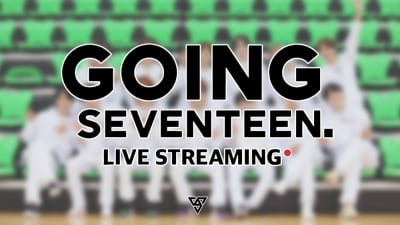 세븐틴, 10일 라이브 스트리밍 진행…'고잉 세븐틴' 으뜸 에피소드 뽑는다