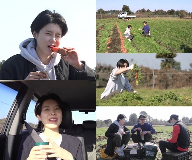 '나혼자산다' 장도연이 제주도를 찾았다. / 사진제공=MBC