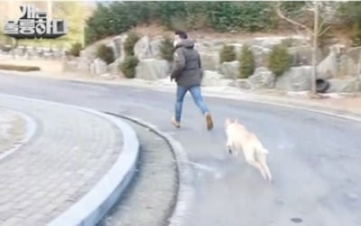 '개는 훌륭하다' 강형욱, 목줄 끊어진 상황에 '임기응변'
