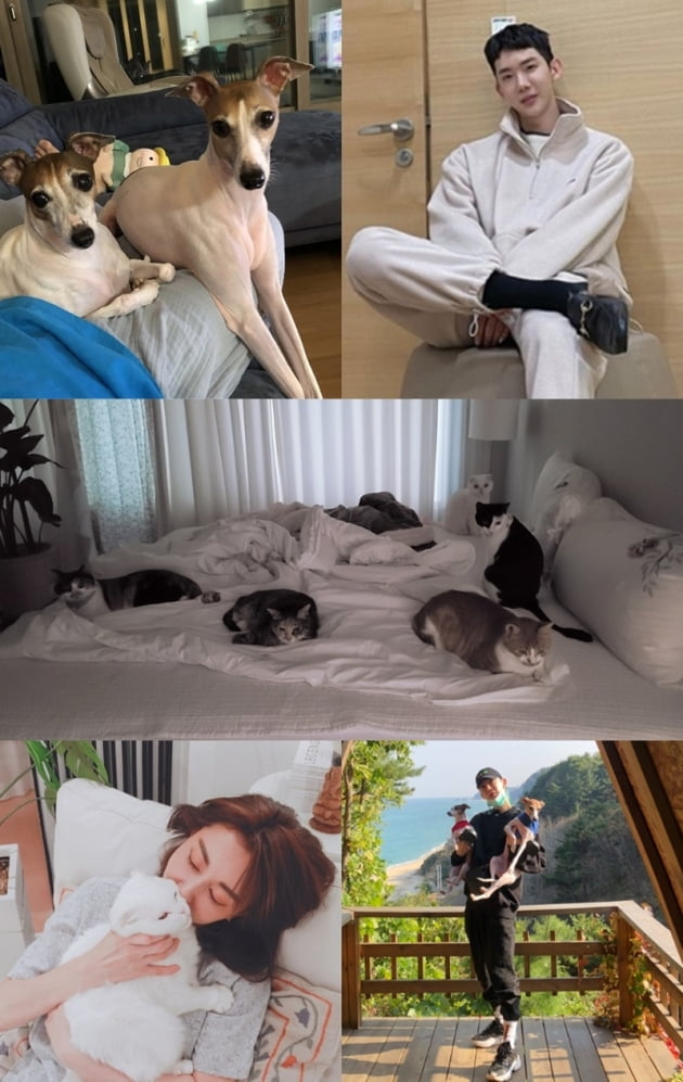 '폰클렌징' / 사진 = MBC 제공