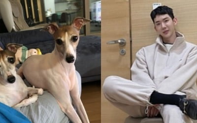 '폰클렌징' 조권, 닮은꼴 강아지 사진 공개 '개아빠'