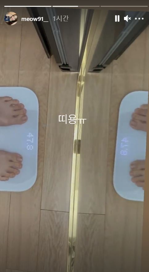 /사진=야옹이 작가 인스타그램