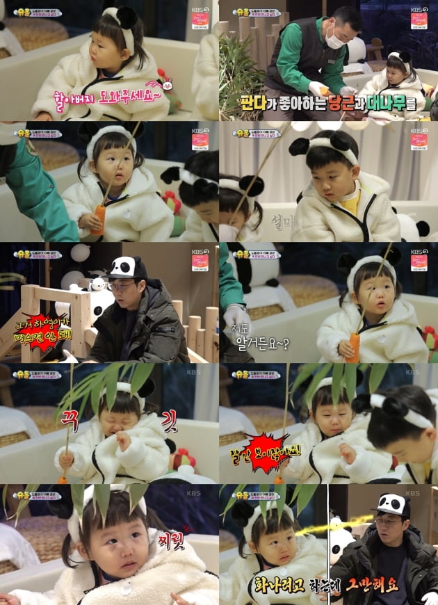 '슈퍼맨이 돌아왔다'./ 사진=KBS 방송화면