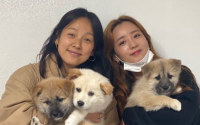 이효리, 활동 접고 뭐하나…윤보미와 유기견 봉사 포착 [전문]