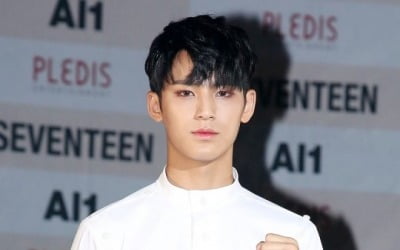 세븐틴 민규, 학폭 의혹 일단락 [종합]