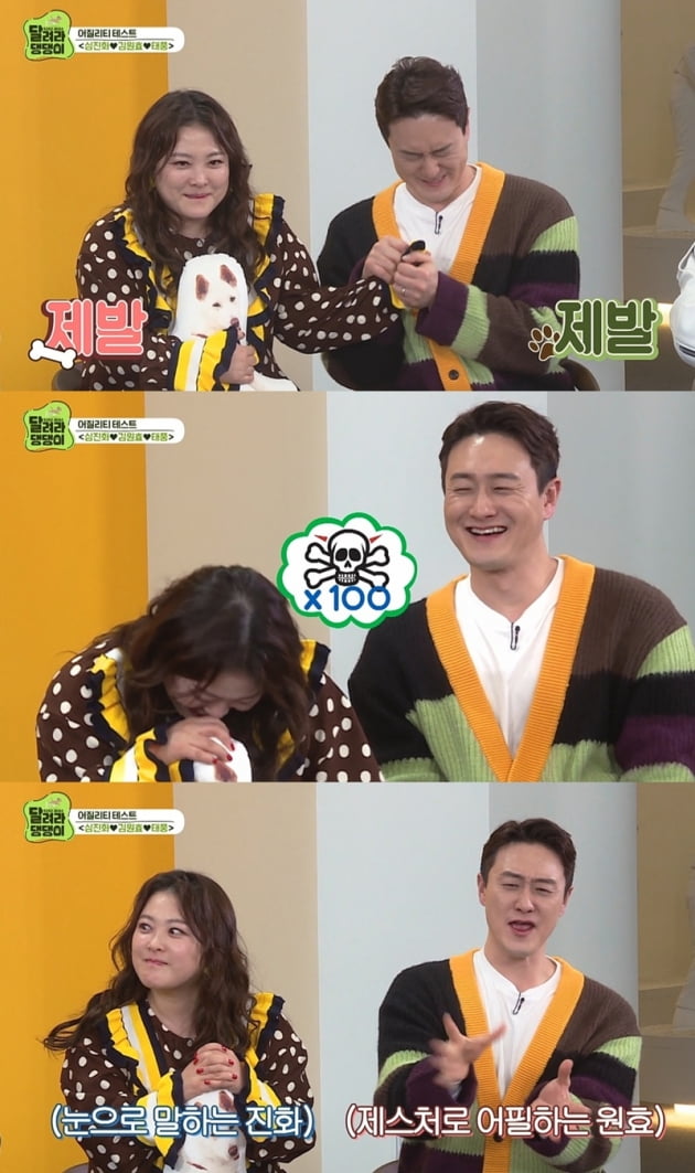 '달려라 댕댕이' / 사진 = MBC 에브리원 제공