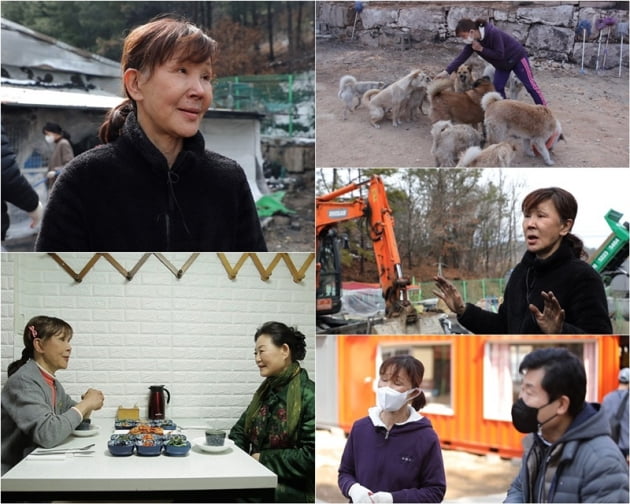 '스타다큐 마이웨이' 이용녀 / 사진 = TV조선 제공
