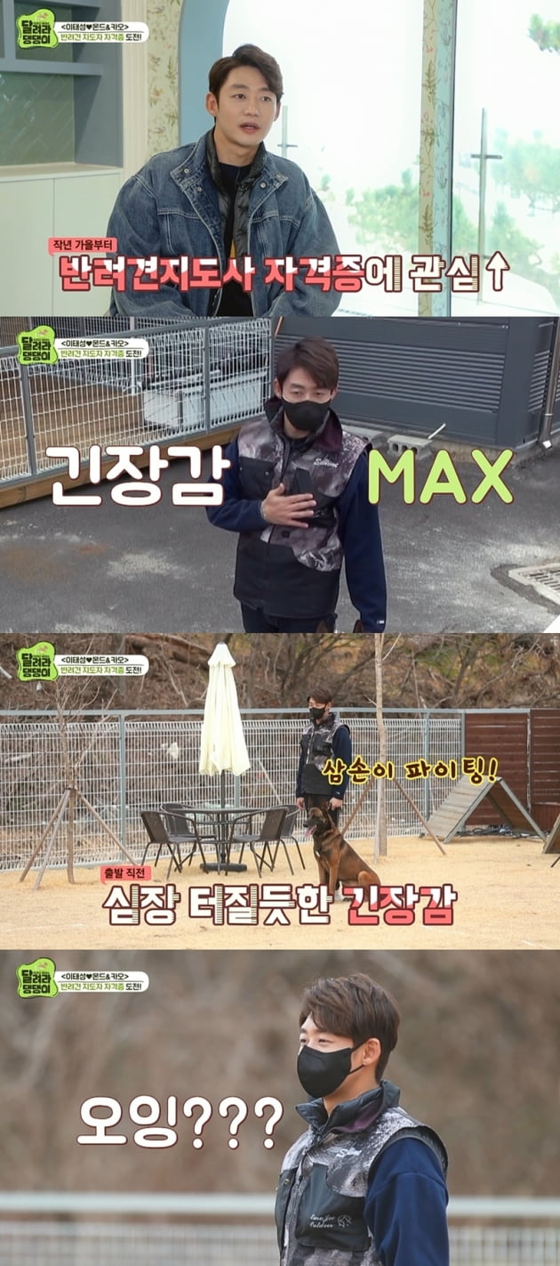 '달려라 댕댕이' 이태성 / 사진 = MBC 에브리원 제공