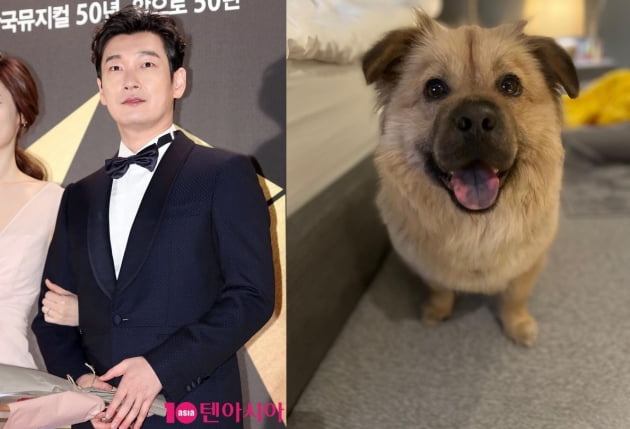 배우 조승우와 반려견 곰자/ 사진=텐아시아DB, 인스타그램