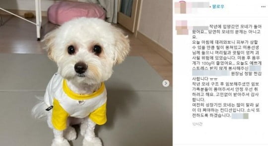 /사진=SNS