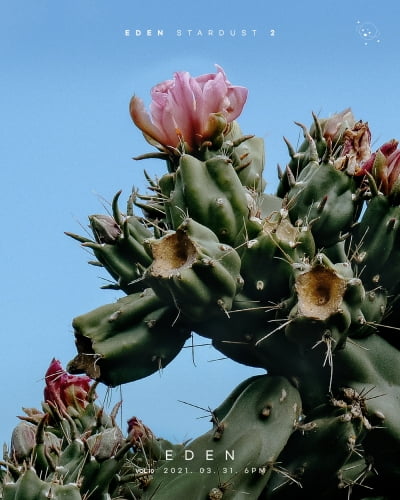 이든, 31일 '이든 스타더스트2' vol.10 발매 [공식]