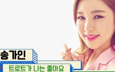 임영웅vs송가인vs영탁, '트로트 1위' 대결