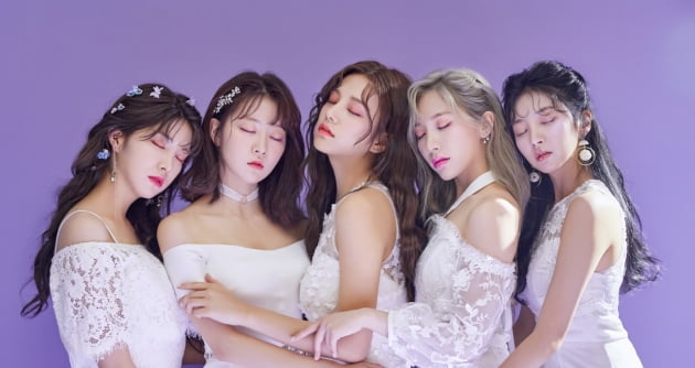 사진제공=글로벌에이치미디어