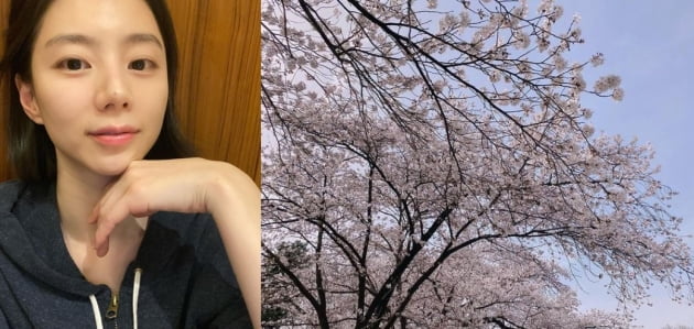 /사진=박수진 인스타그램