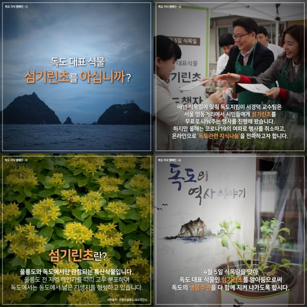 송가인, 식목일 맞아 독도 대표 식물 섬기린초 알린다 