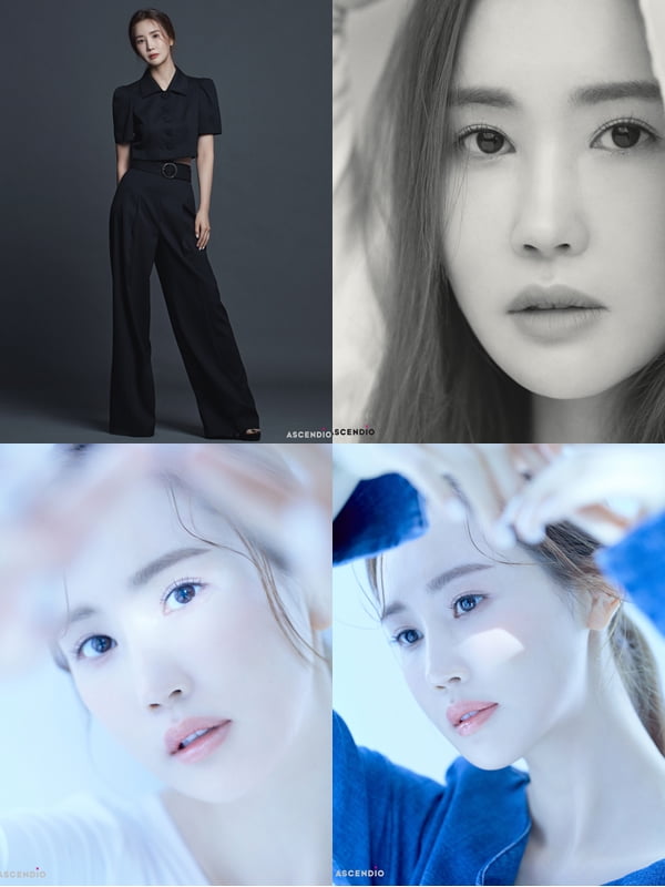 이다해 프로필./ 사진제공= 아센디오 리저브 X 토브컴퍼